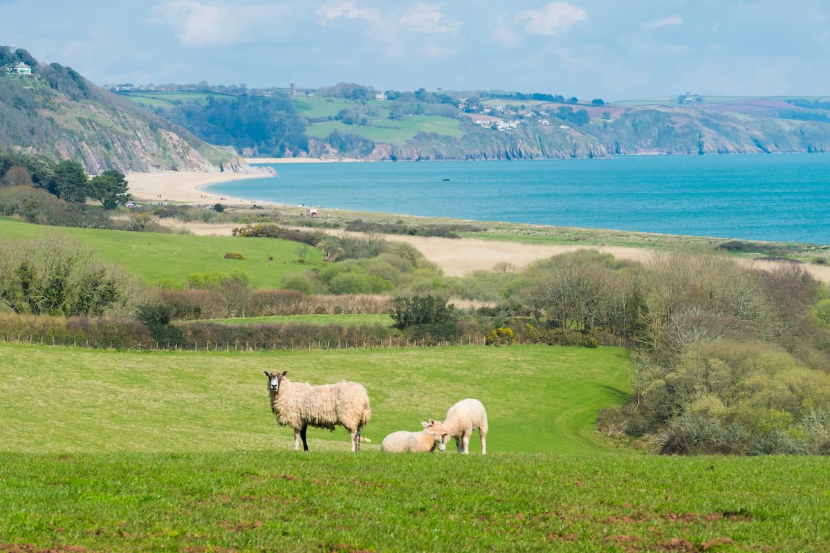 The Devon coast