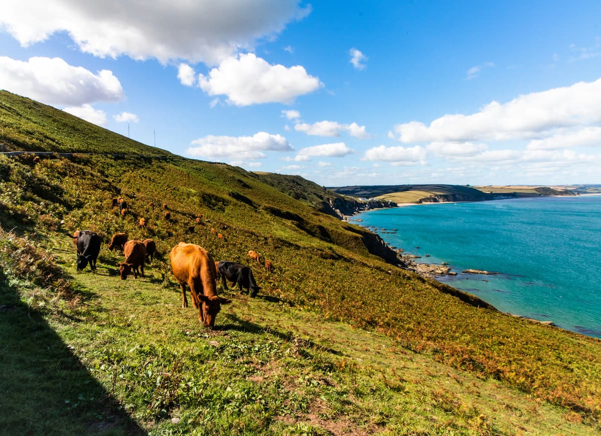 Devon coast
