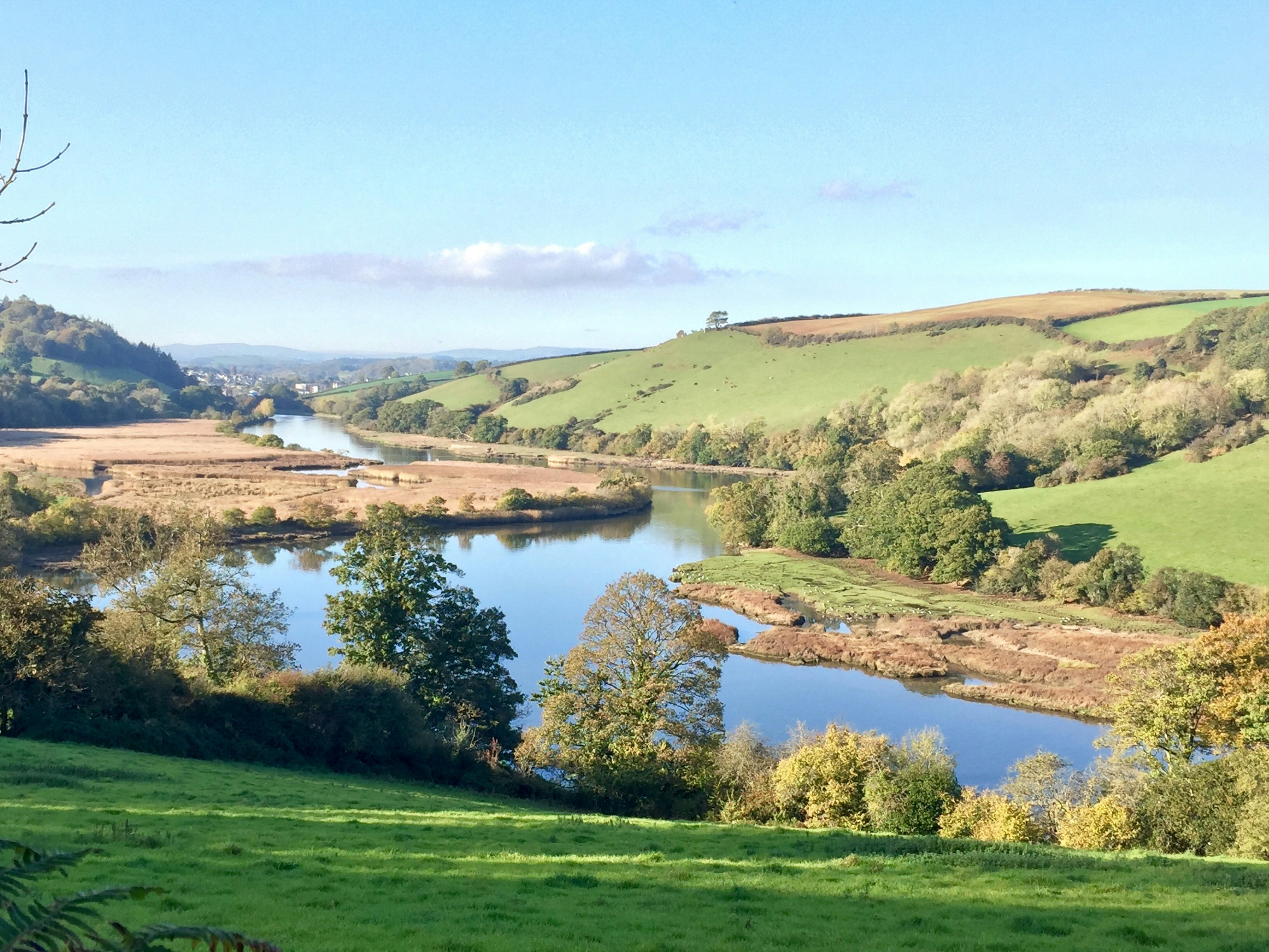 Photo by Valentina Sotnikova of the River Dart outside of Totnes.